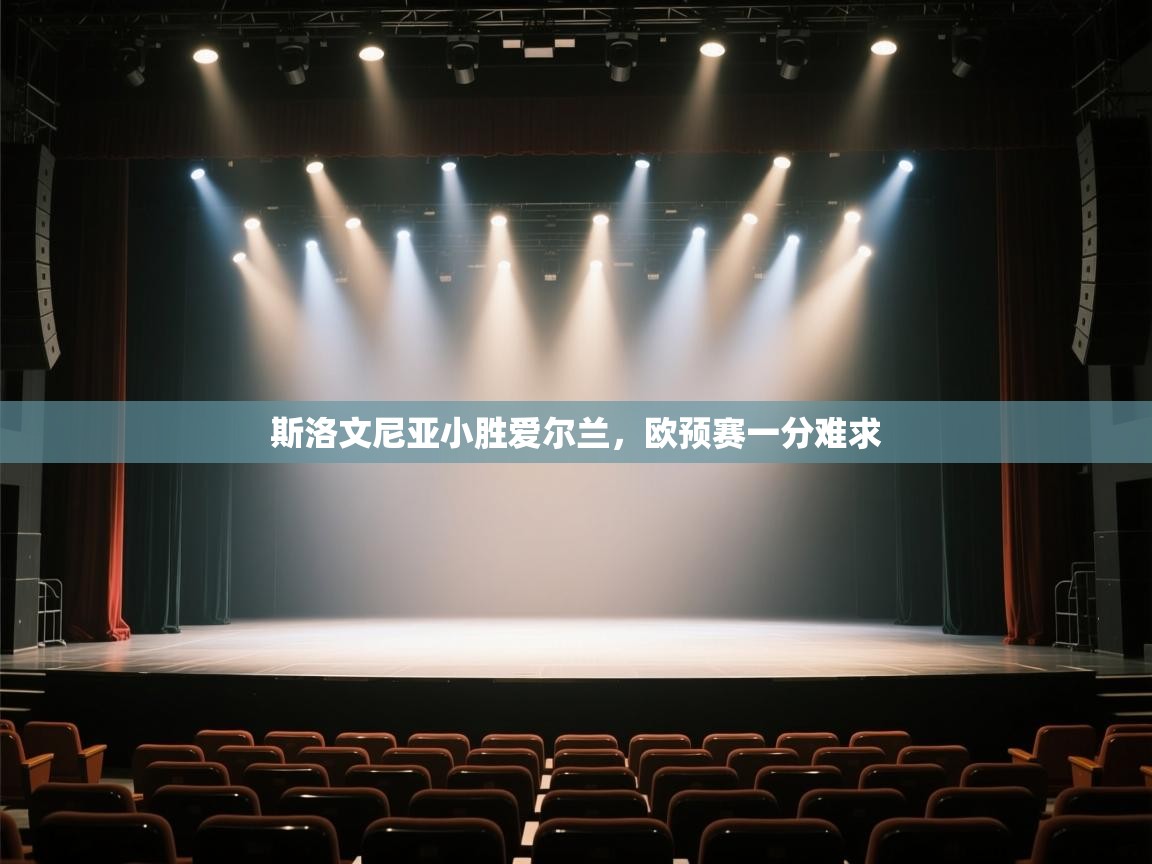 斯洛文尼亚小胜爱尔兰，欧预赛一分难求  第2张