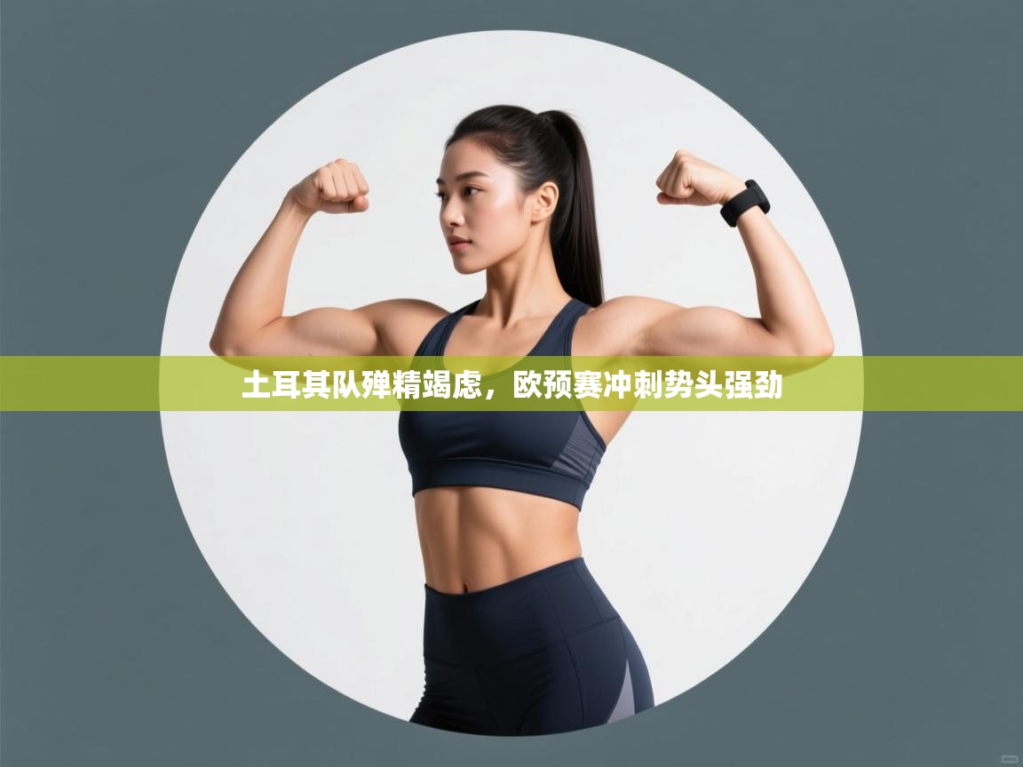 土耳其队殚精竭虑，欧预赛冲刺势头强劲  第1张